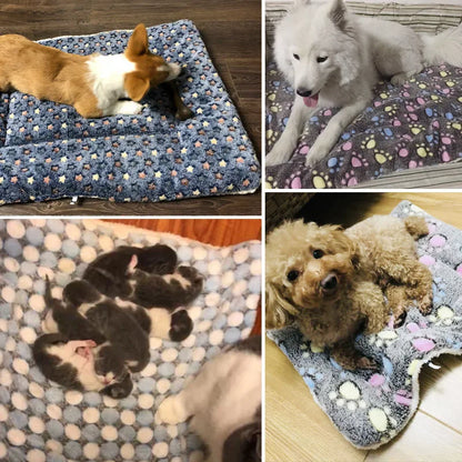 Washable Pet Bed